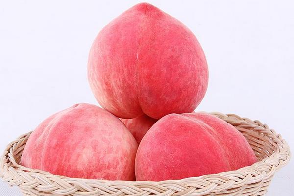 介绍了桃子的四个常见品种