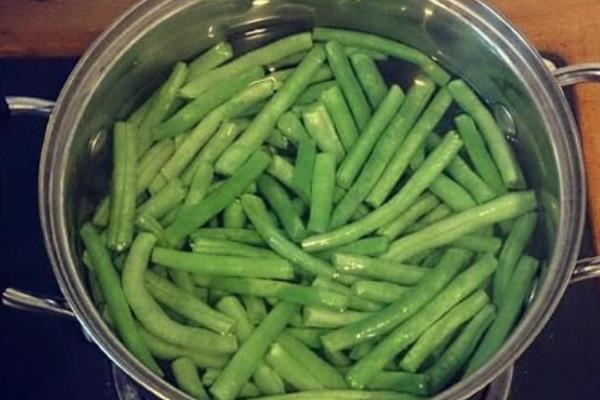 需要多长时间浸泡四季豆种子