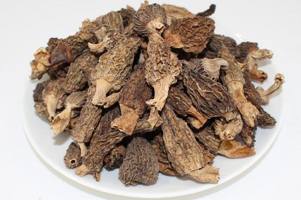我国羊肚菌产地主要分布在哪里