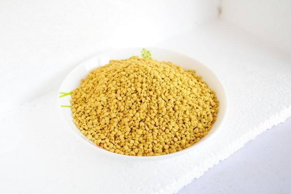 什么时候收割油菜