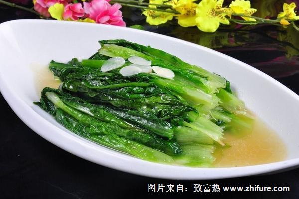 什么土比较好种油麦菜