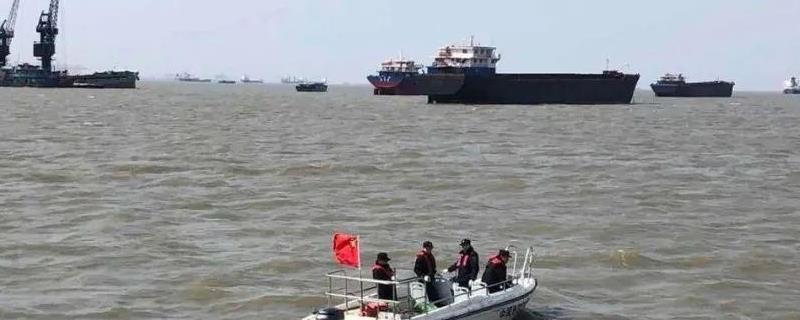 中国银针鱼的产地在哪里？如何购买银针鱼