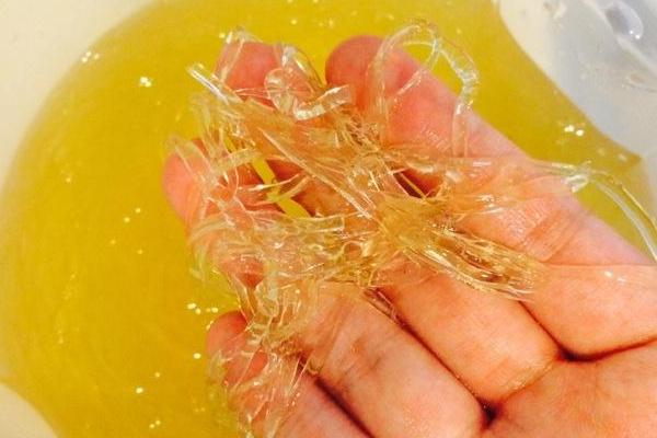 鱼翅是什么？一斤多少钱？有什么作用和作用