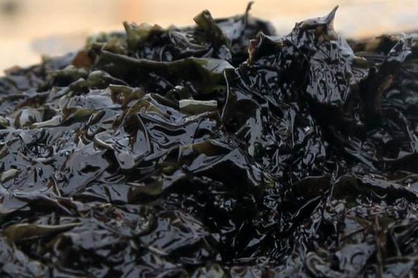 紫菜产地在哪里？紫菜和紫菜有什么区别